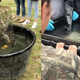 Image for article titled Video Shows Florida Teacher Allegedly Drowning Two Raccoons in Science Class
